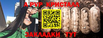a pvp Донской
