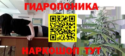a pvp Донской